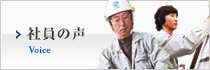 社員の声